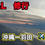 【JAL修行旅行】沖縄ー羽田、夕方の富士山を見ながら✈